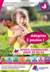 Opration Adoptez 2 poules (Dossier de candidature)