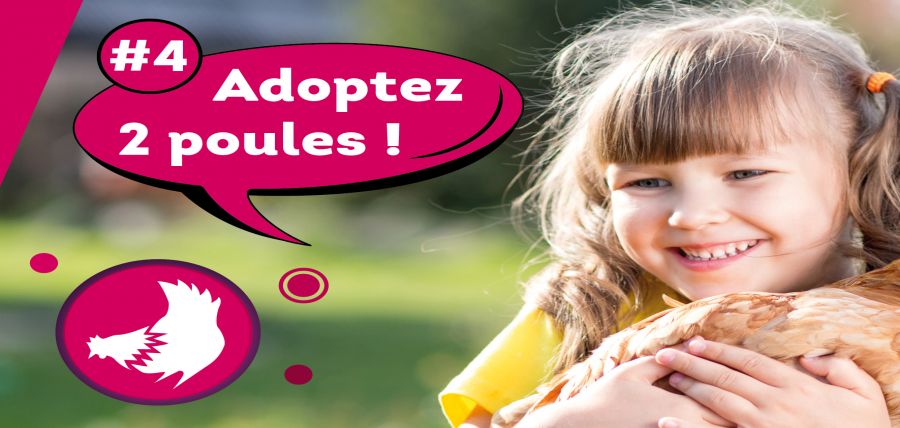 Fleurissement/bazeilles_2023_03_10_operation_adoptez_2_poules