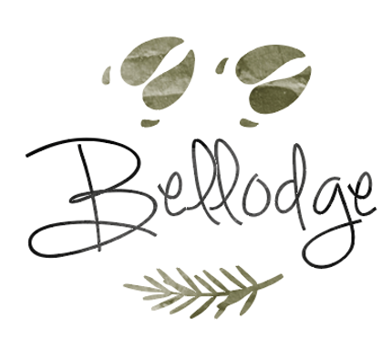 Histoire Tourisme et Animation/bazeilles_bellodge_gite_logo