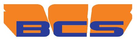 Entreprises/Logo BCS