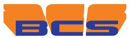 Entreprises/Logo BCS