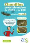 Guide info sur les colonies de chenilles processionnaires